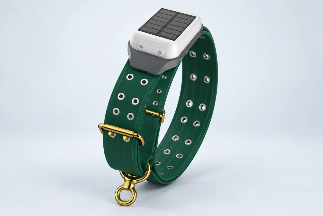 4G Collar GC09 (South Africa)