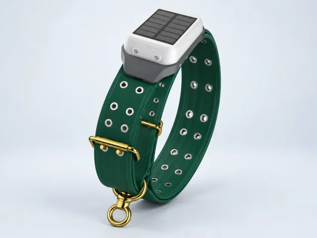 Herdwize solar GPS collar with a dark green strap and solar-panel module